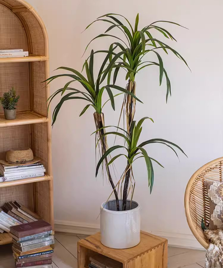Rustic Reach - Wholesale Artificial Plant - Artificial Dracaena Tree3