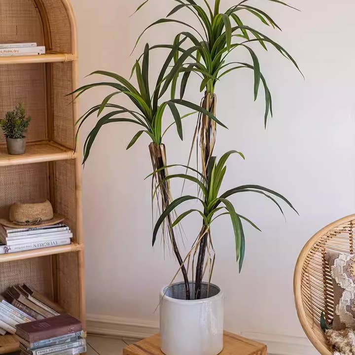 Rustic Reach - Wholesale Artificial Plant - Artificial Dracaena Tree3