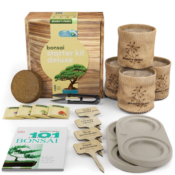 Planter's Choice - Wholesale DIY Craft Kit - Bonsai Growing Kit7