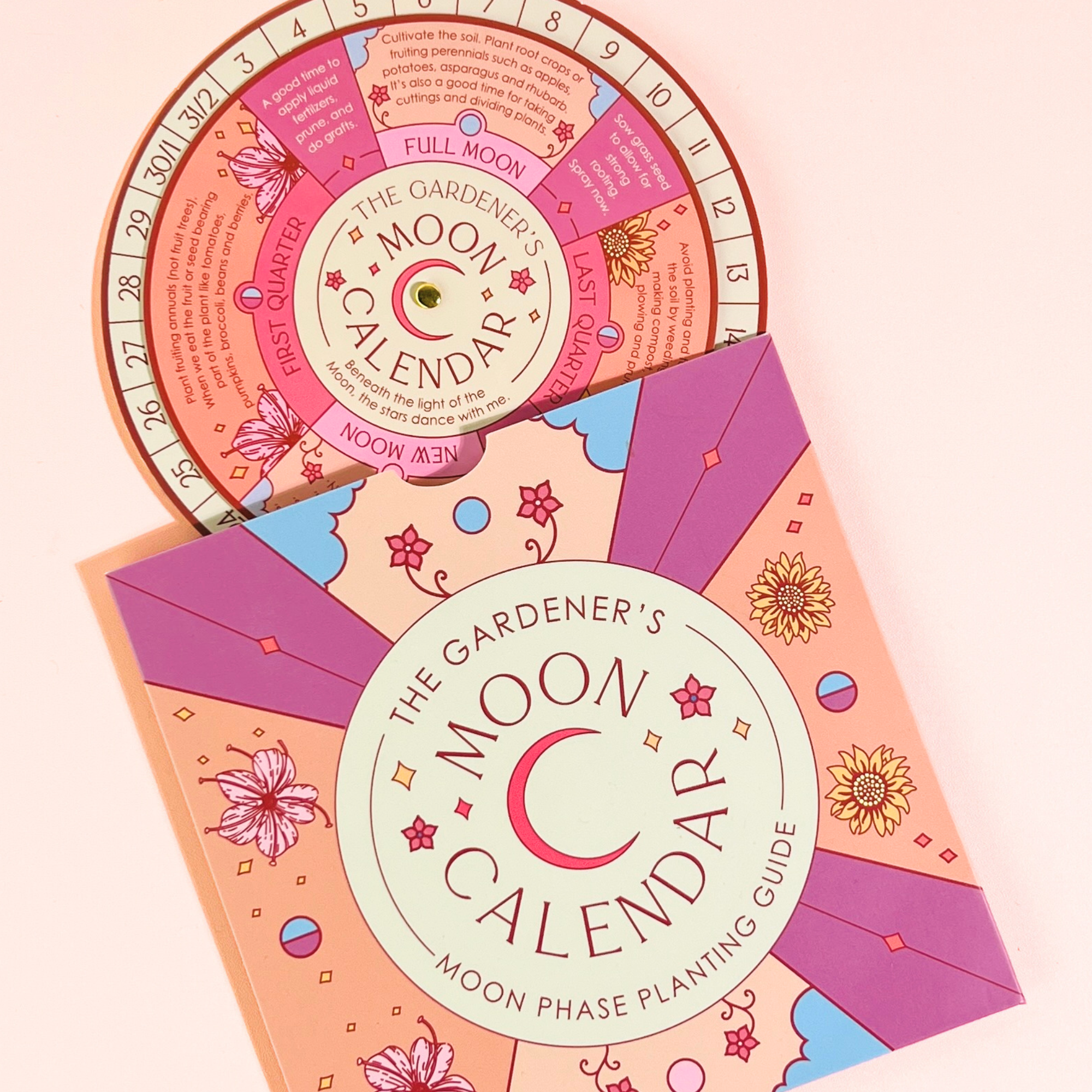 Sow the Magic - Wholesale Plant Seeds - Vegetable Bundle Seed Collection6