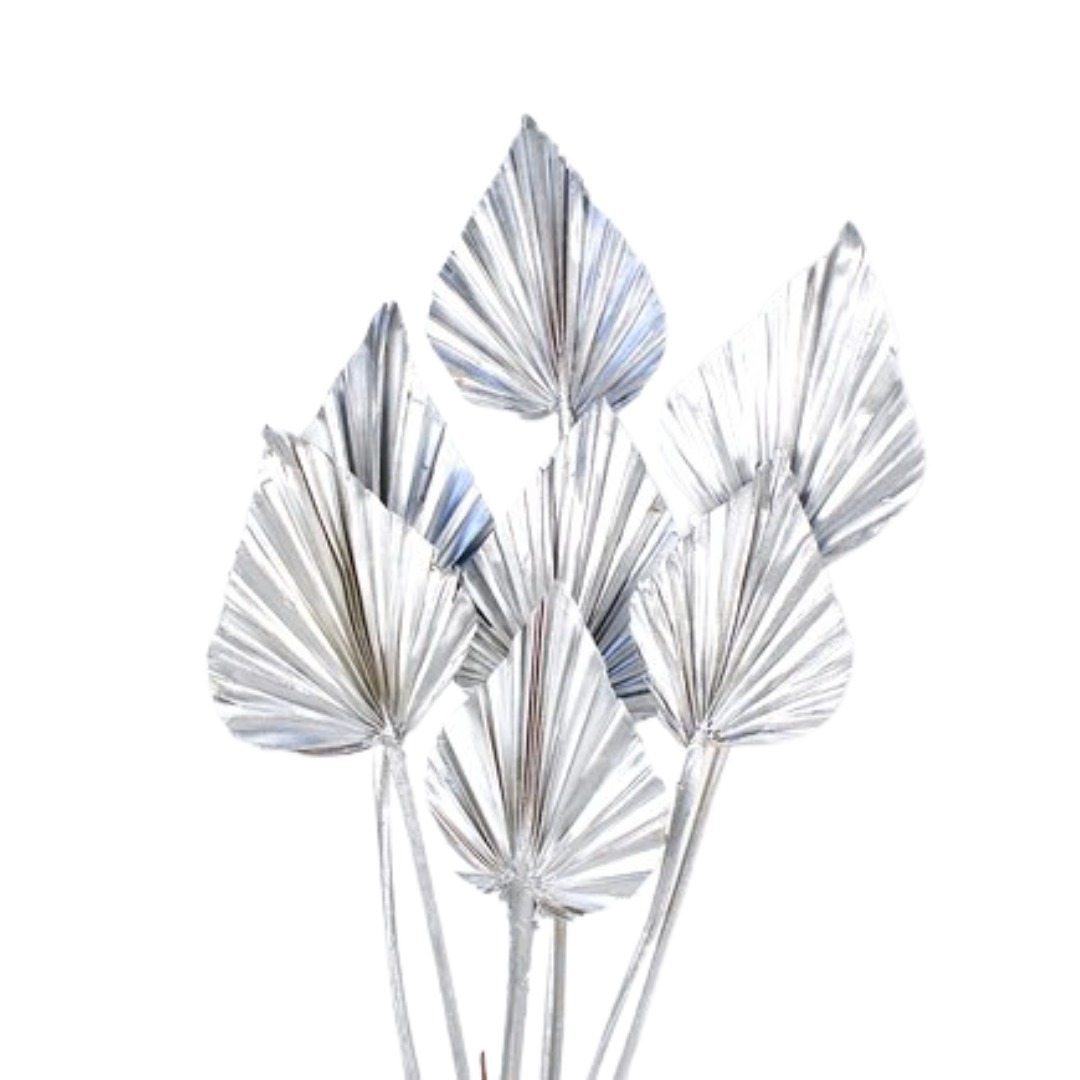 Botanico Ltd. – wholesale Dried/pressed flowers – Palm Spear4