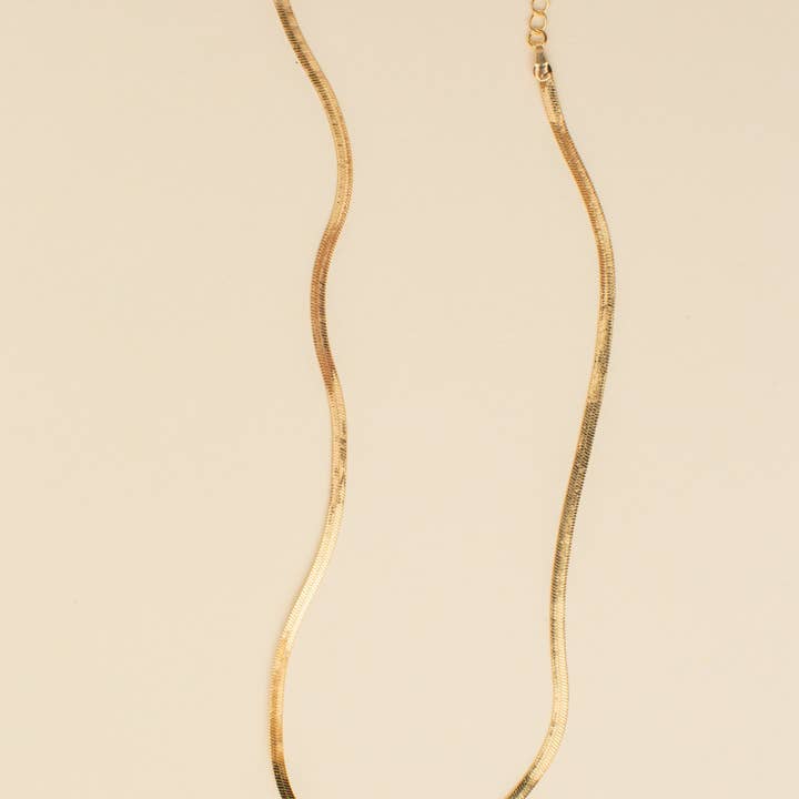 Jill Michael Jewelry - Wholesale Pendant/Charm Necklace - Banks Statement Coin Herringbone Necklace3