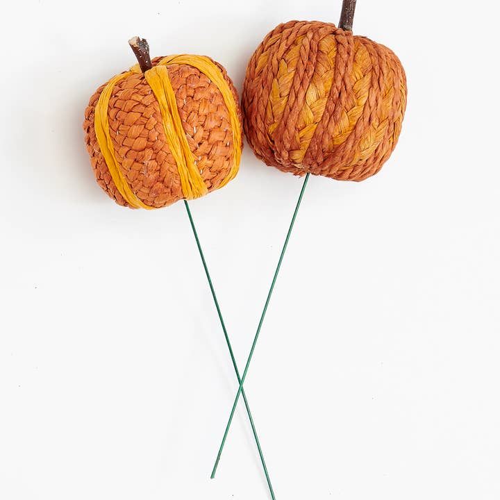 WORTH IMPORTS - Wholesale Decorative Tabletop Object - 3" Fall Raffia Pumpkin on a 6.5" Pick