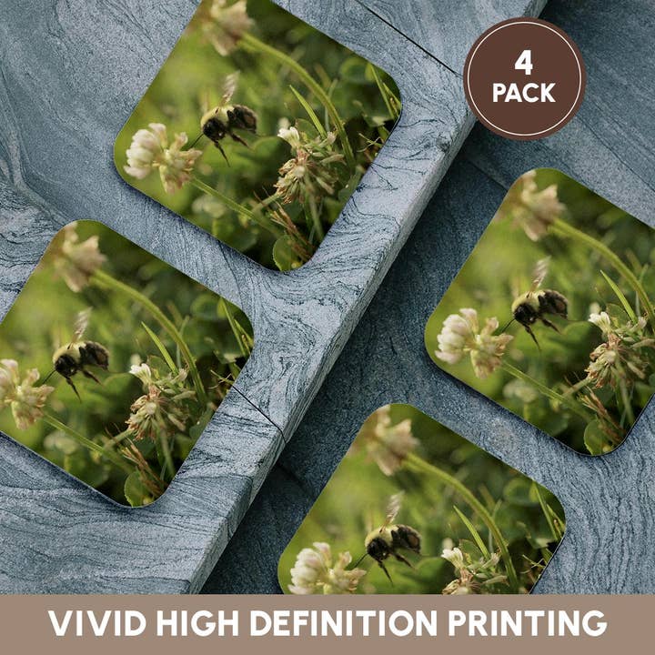 3dRose - Wholesale Coasters - 3dRose, Macro photograph of a bumble bee taking off from a white clover., Coaster12
