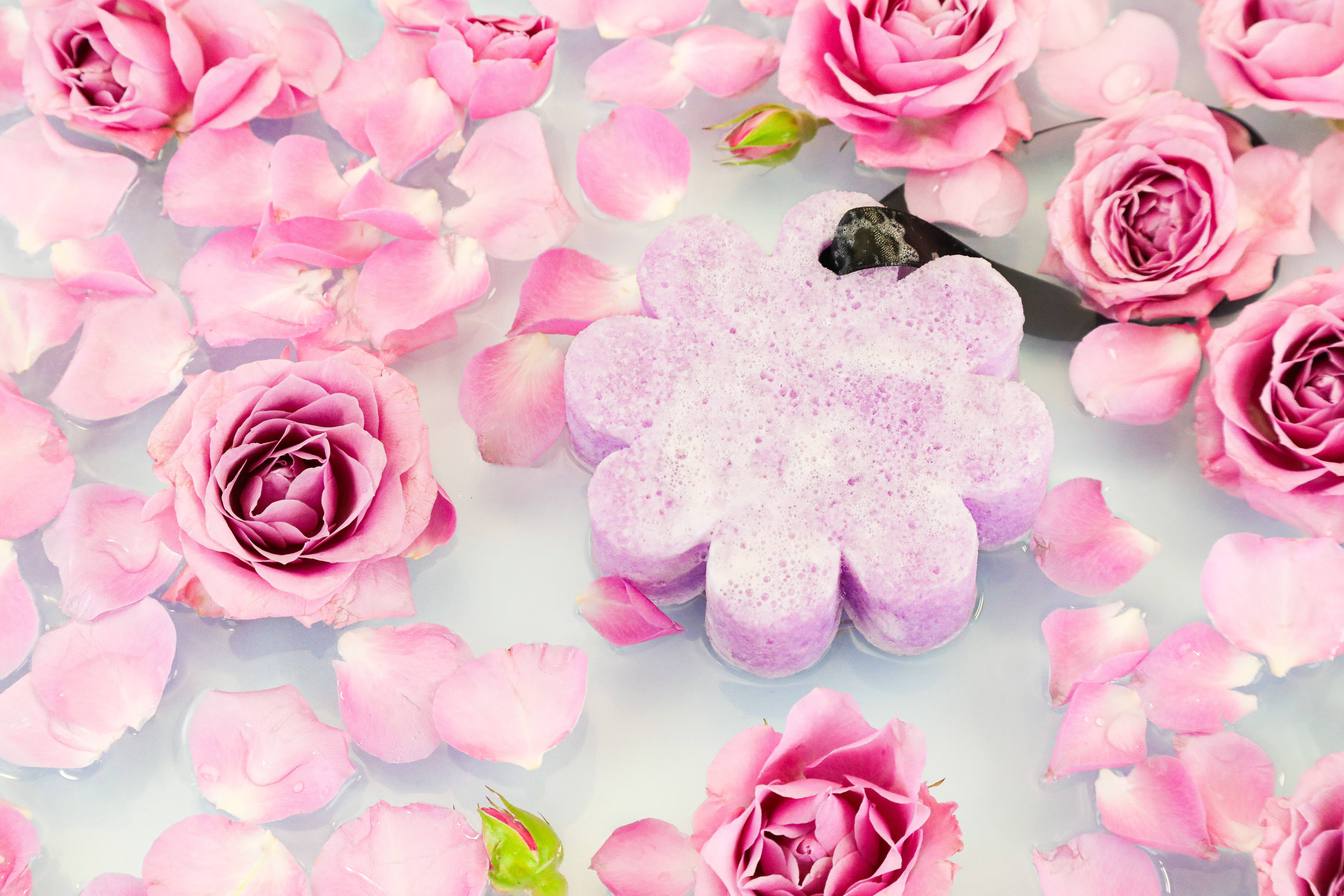 Spongellé | Christmas 2025 | Stocking Stuffers | Gifts - Wholesale Bath Pouf/Sponge - French Lavender Wild Flower | Self-Care Wellness Gifts3