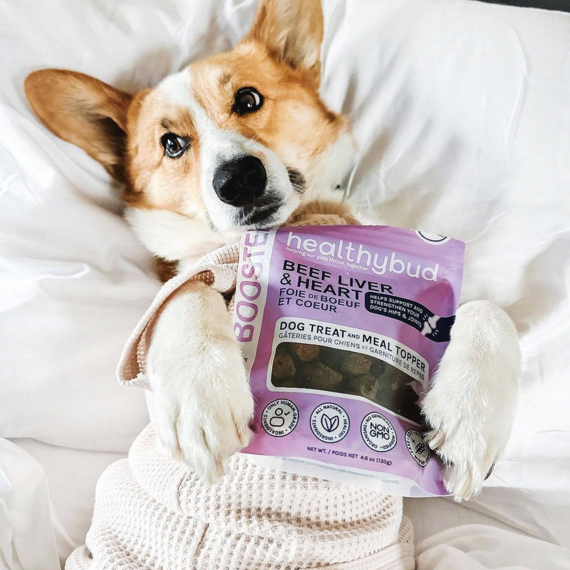 Healthybud - Wholesale Pet Treats - Dog - Healthybud's Functional Beef Joint Booster Dog Treats5