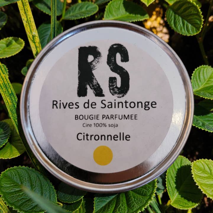 Candela naturale al citronella per la vendita all'ingrosso da parte di RIVES DE SAINTONGE