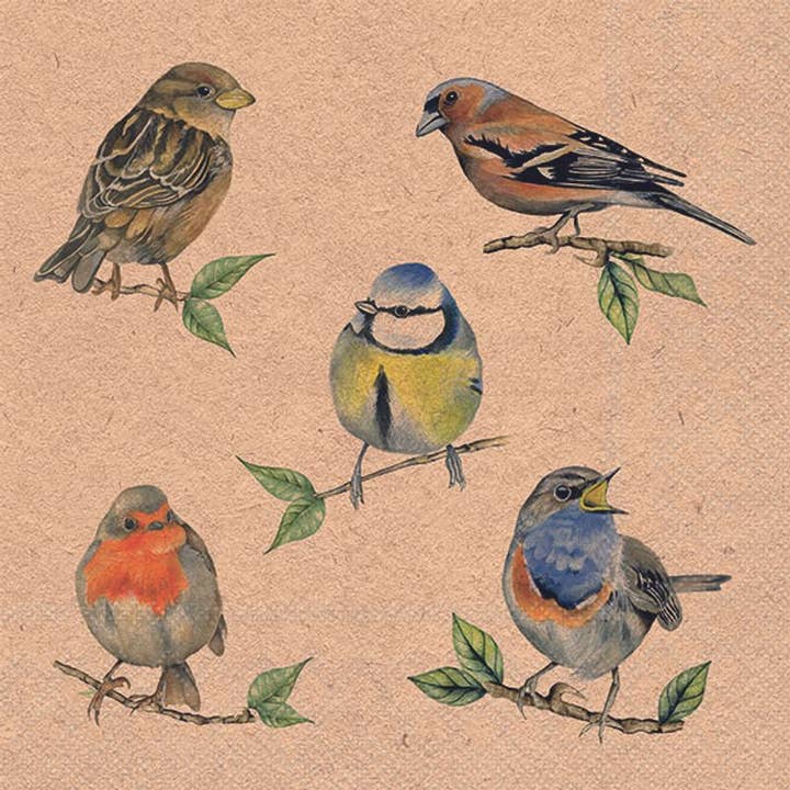 Lunch Napkin - Recycled Bird Species Nature for wholesale by Elegant Gifts