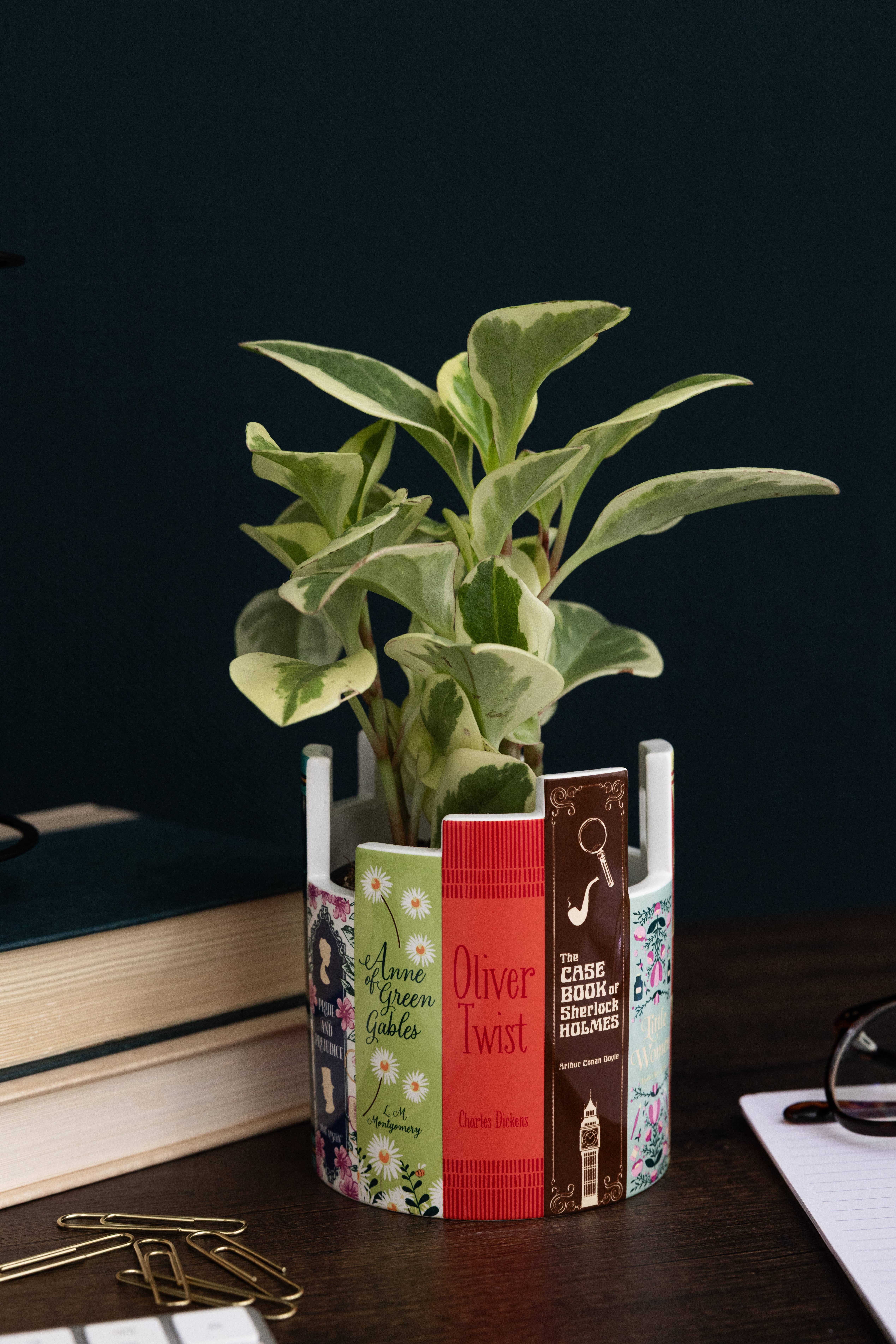 Steel Mill and Co. - Wholesale Plant Pot - Desk Pot, Classic Books1