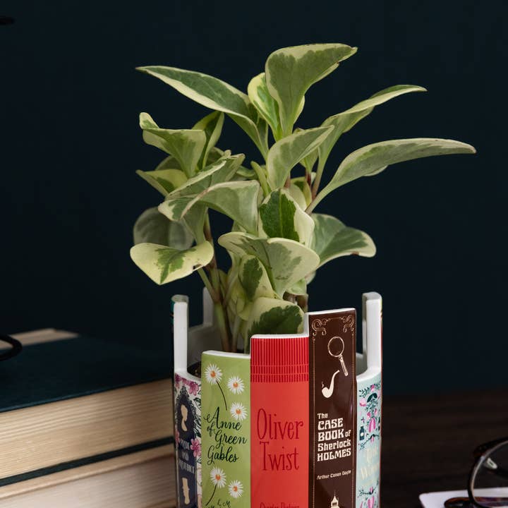 Steel Mill and Co. - Wholesale Plant Pot - Desk Pot, Classic Books1