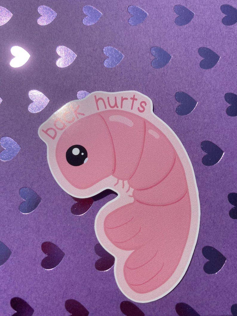 AstroManatee Shop - Wholesale Sticker - Shrimp Back Hurts 2.5” Waterproof Sticker4