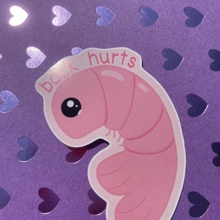 AstroManatee Shop - Wholesale Sticker - Shrimp Back Hurts 2.5” Waterproof Sticker4