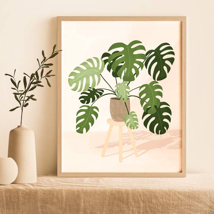 Monstera Deliciosa for wholesale by AIKA & Co.