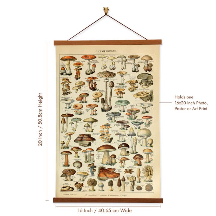 Vintage Banners - Wholesale Art Print - Mushroom Art Prints - Adolphe Millot - Framed Canvas Art1