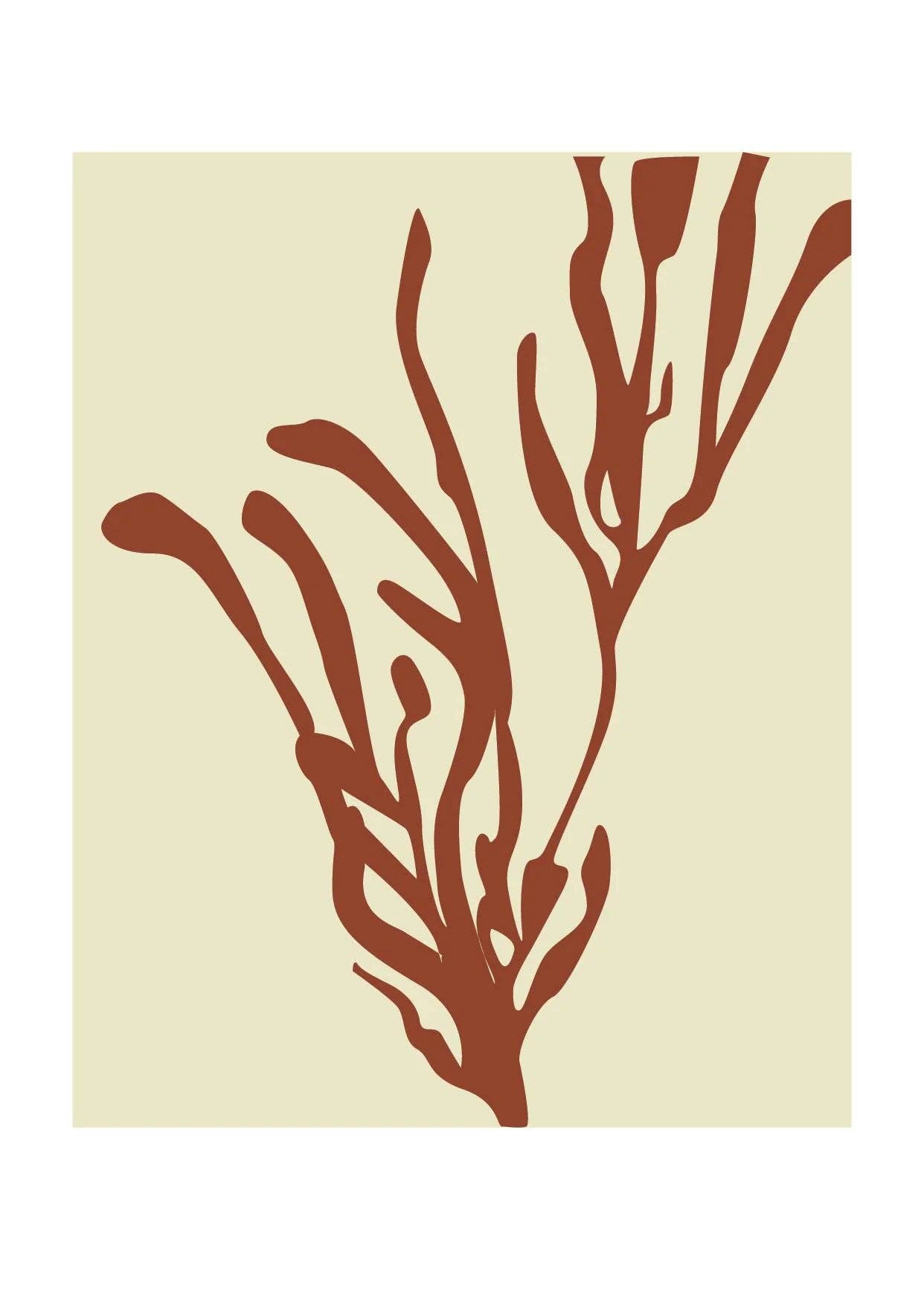 XZOTA - Wholesale Art Print - Xzota card1