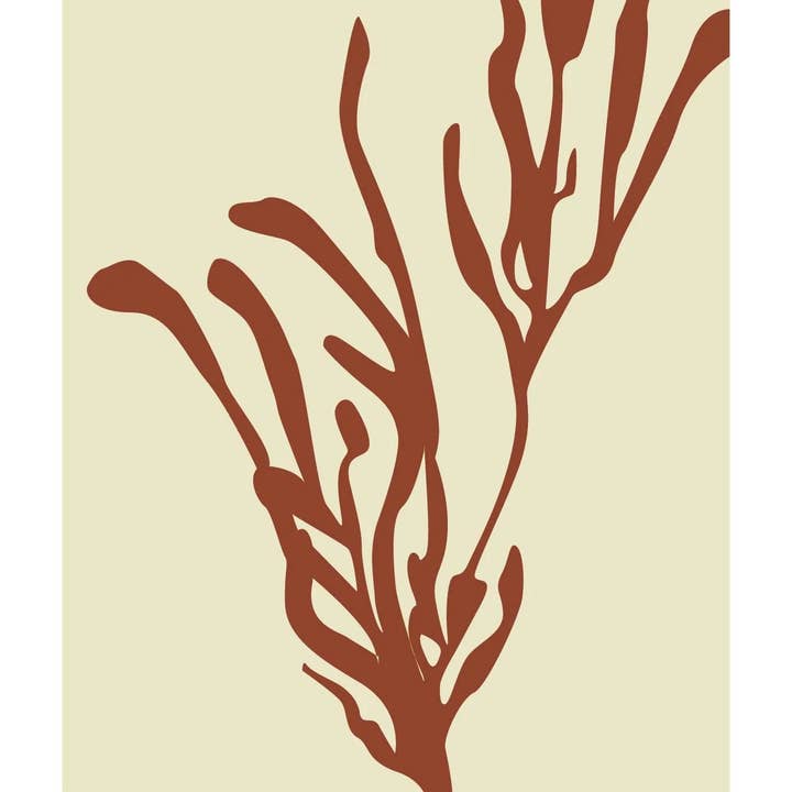 XZOTA - Wholesale Art Print - Xzota card1