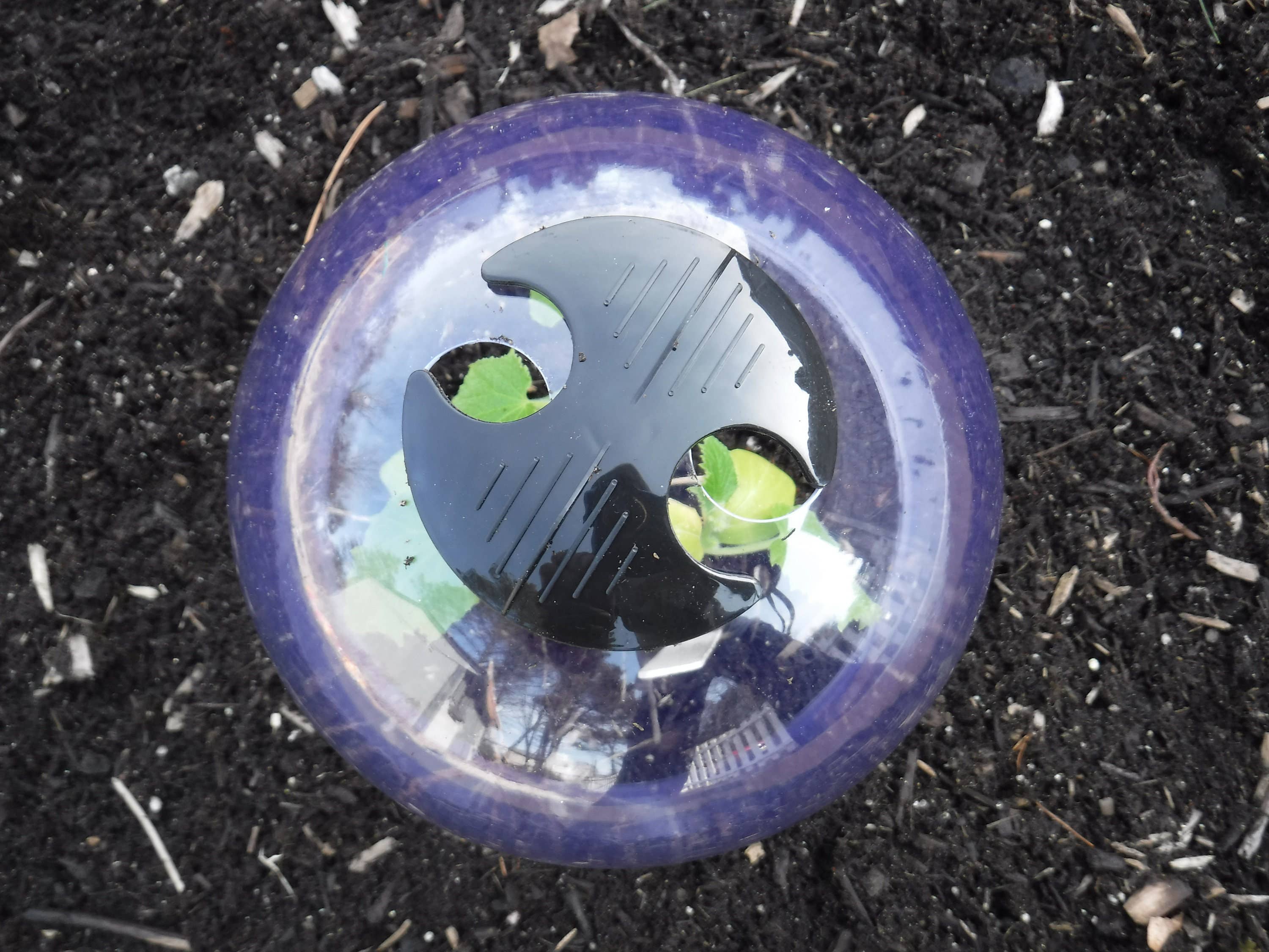 Gardinnovations - Wholesale Planting net/cover - 6-Pack Small Reusable Garden Cloches, Plant Covers, Mini Greenhouses, GrowAway Domes to Protect Seeds, Seedlings, Young Plants1