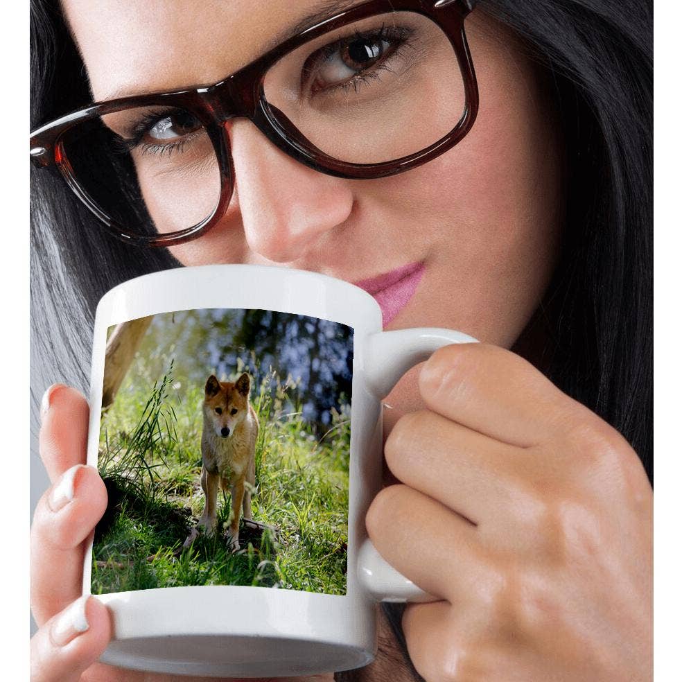 3dRose - Wholesale Coffee Mug - 3dRose, Australia, Adelaide. Cleland Wildlife Park. Australian Dingo, Mug9
