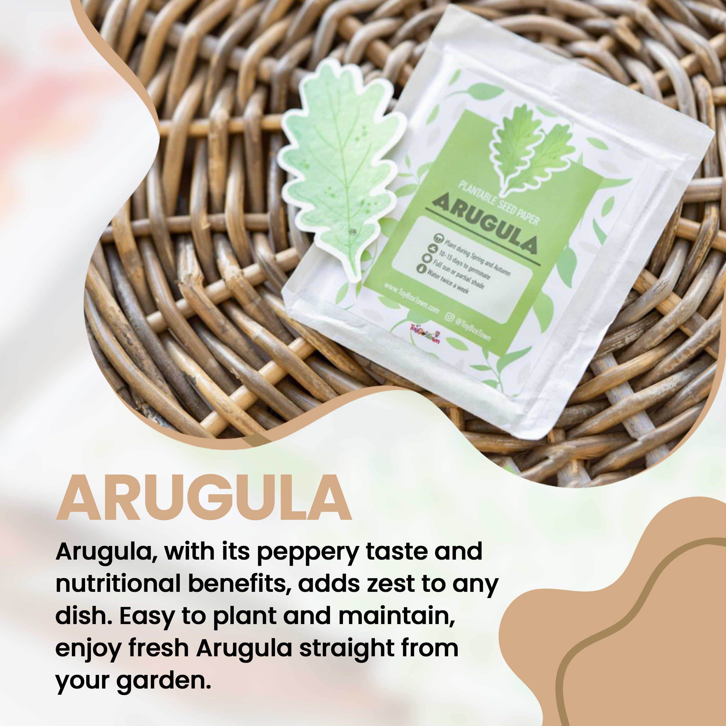 ToyBoxTown – Großhandel Pflanzensamen – Samenpapier zum Anpflanzen von Rucola, 10 Stück2