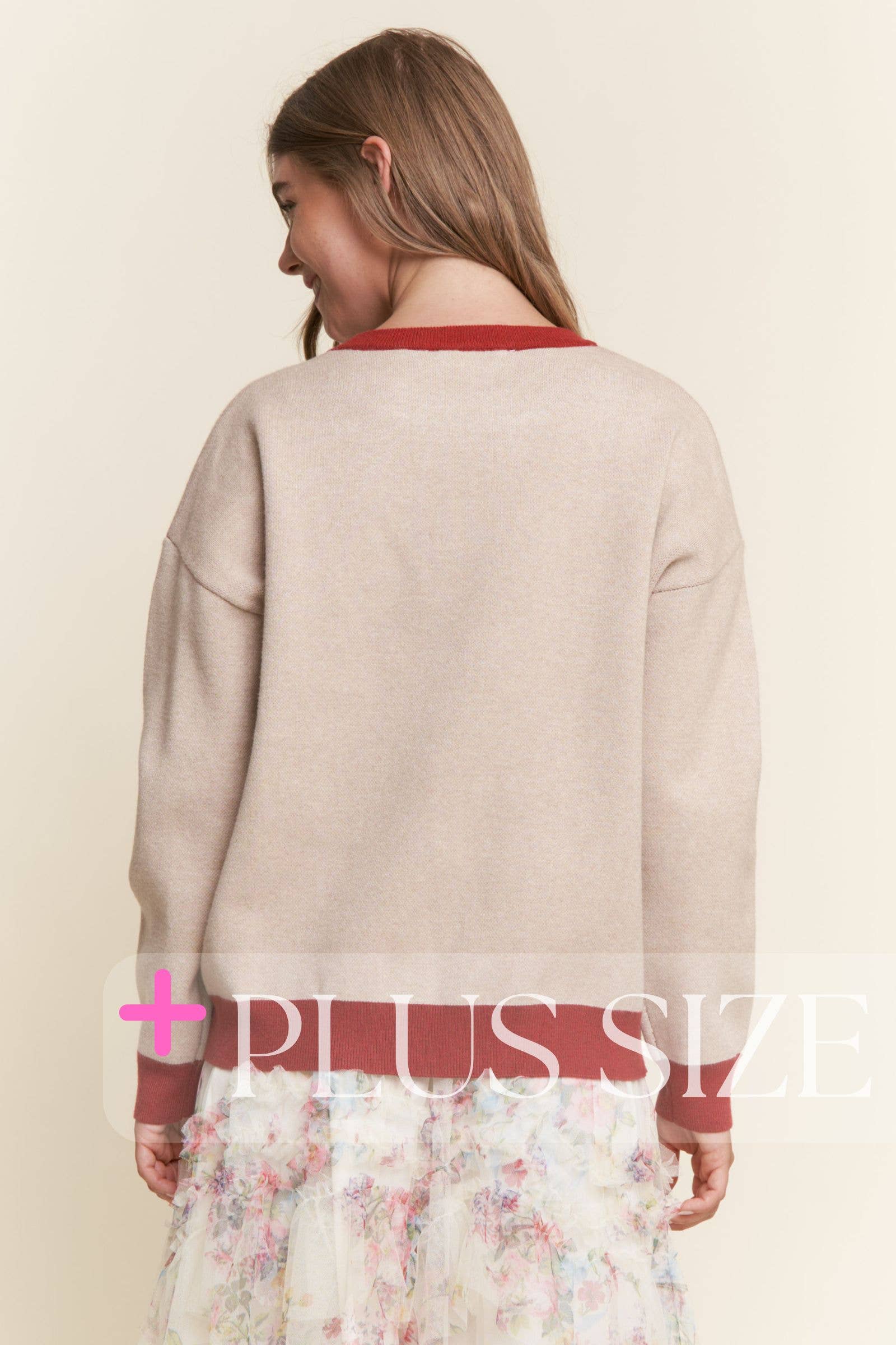PLUS SIZE ~ Xmas Dachshund Colorblock Sweater for wholesale on Faire3