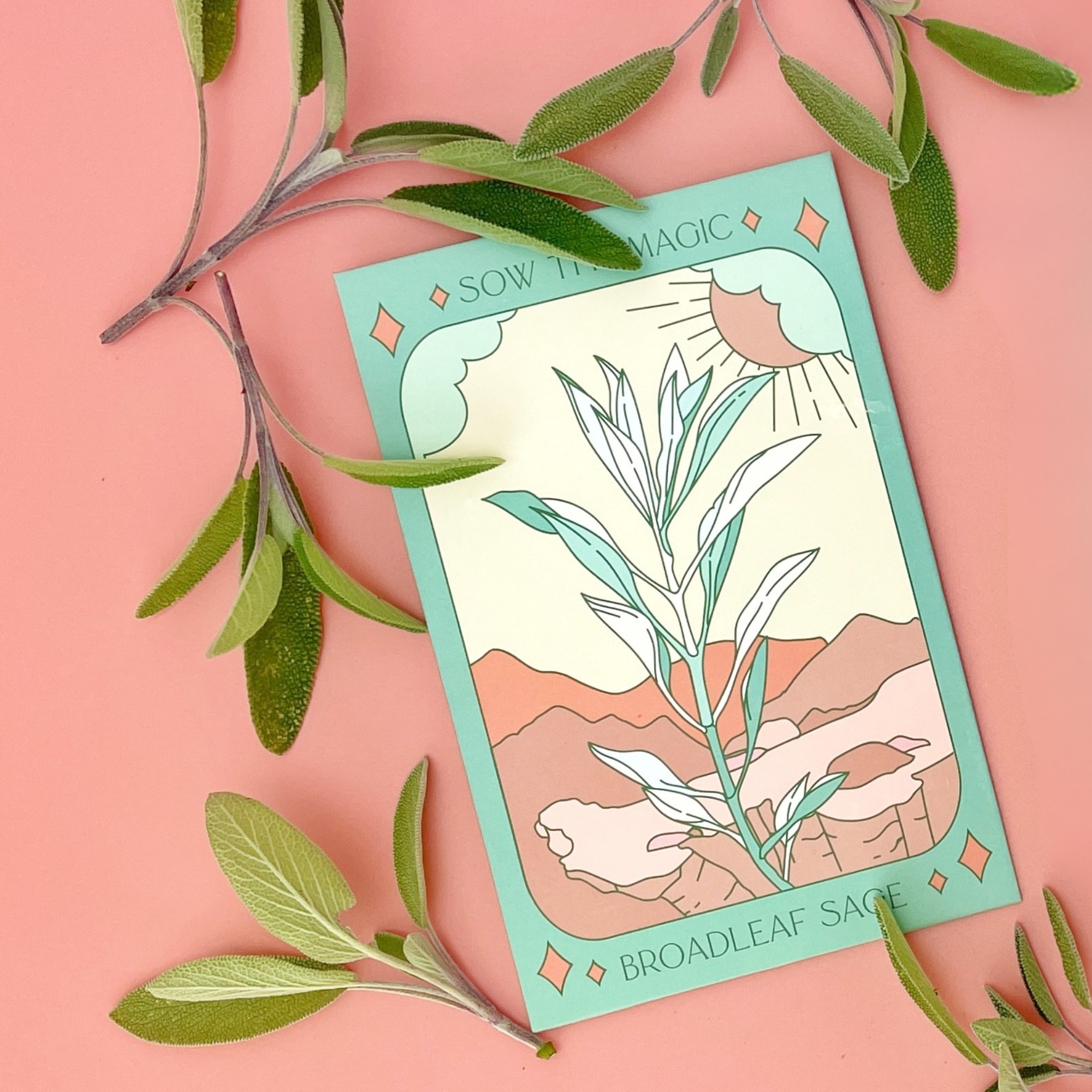 Sow the Magic - Wholesale Plant Seeds - Culinary Herb Bundle Seed Collection2