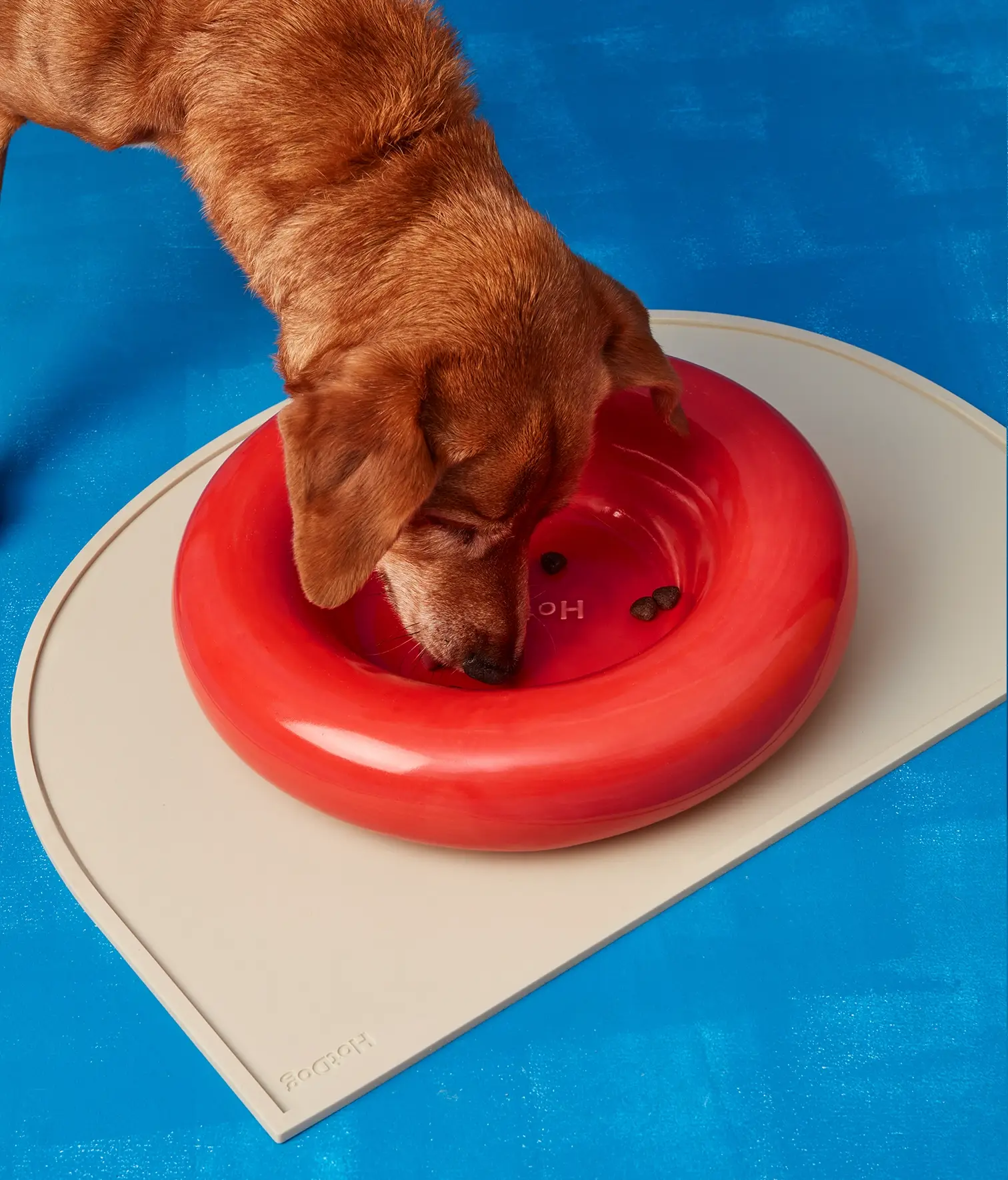 HotDog Pets - Wholesale Pet Bowl - Cat/Dog - White ceramic dog feeder21