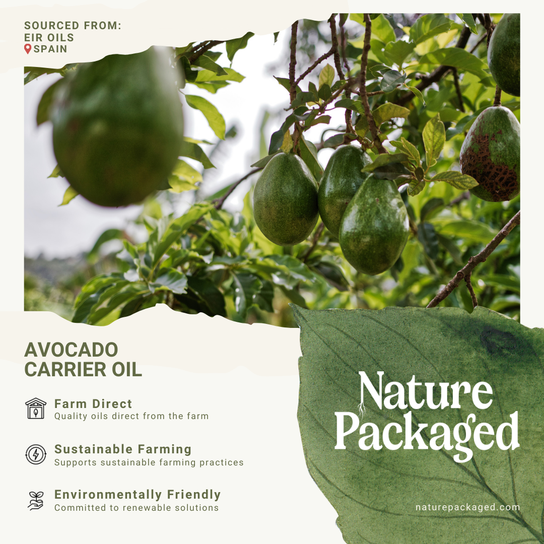 Nature Packaged – Engroshandel Bad/Kropsolie – Avocadobærerolie - 100% ren - Farm-Direct Sourcing9