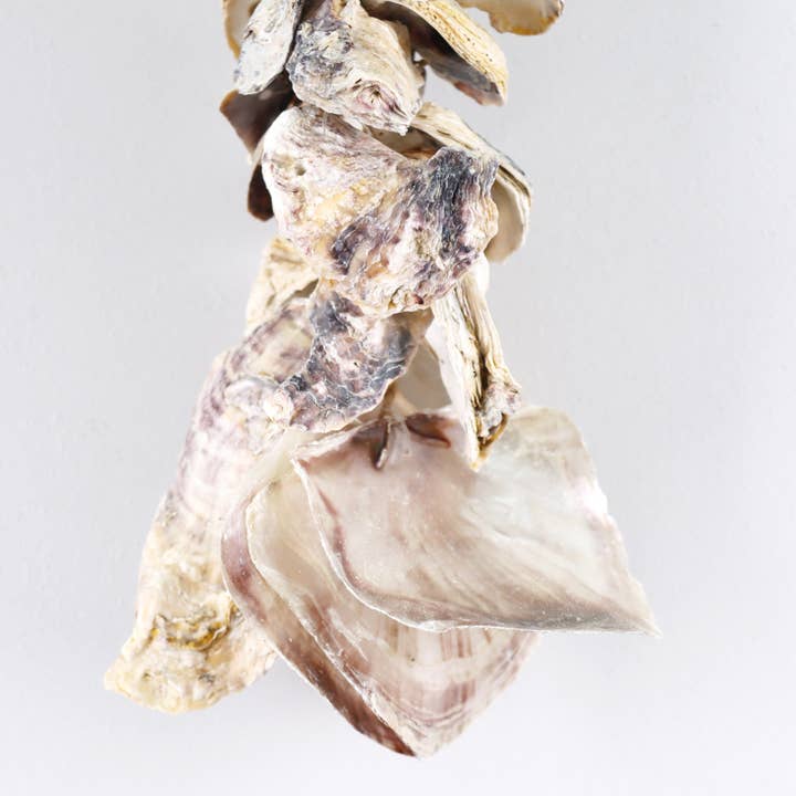 Modern Eastern by Contrast Inc. - Wholesale Bunting/Garland - Oyster Garland 26"3