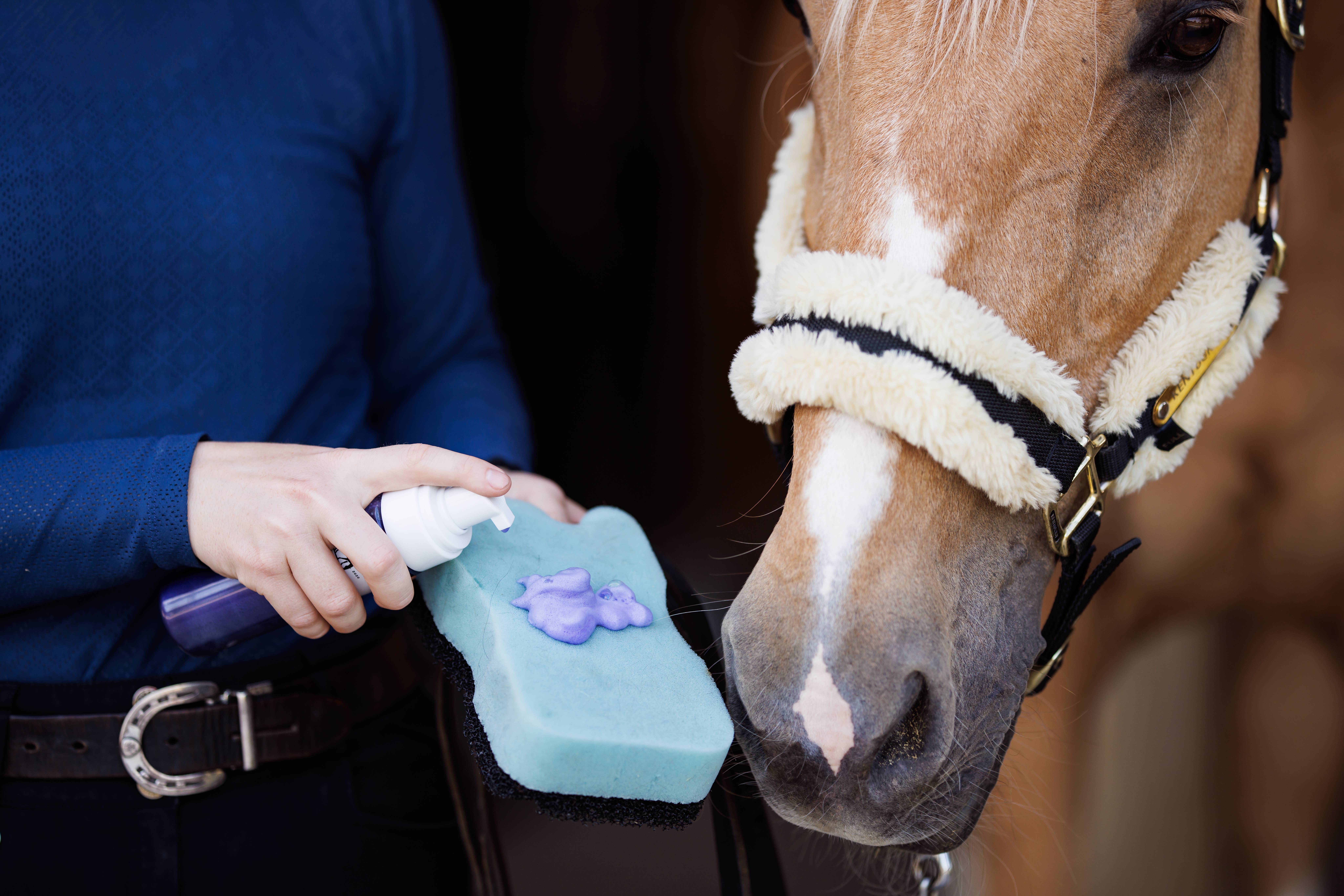 Dr. Hansen's Equine Apothecary - Wholesale Horse Conditioner/Grooming Aid - Unicorn Foaming Shampoo2