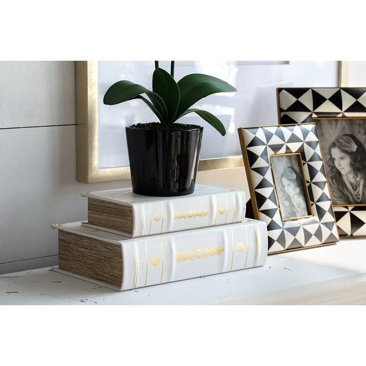 A&B Home Group Inc. - Wholesale Decorative Box - S/2 Book Boxes - White6