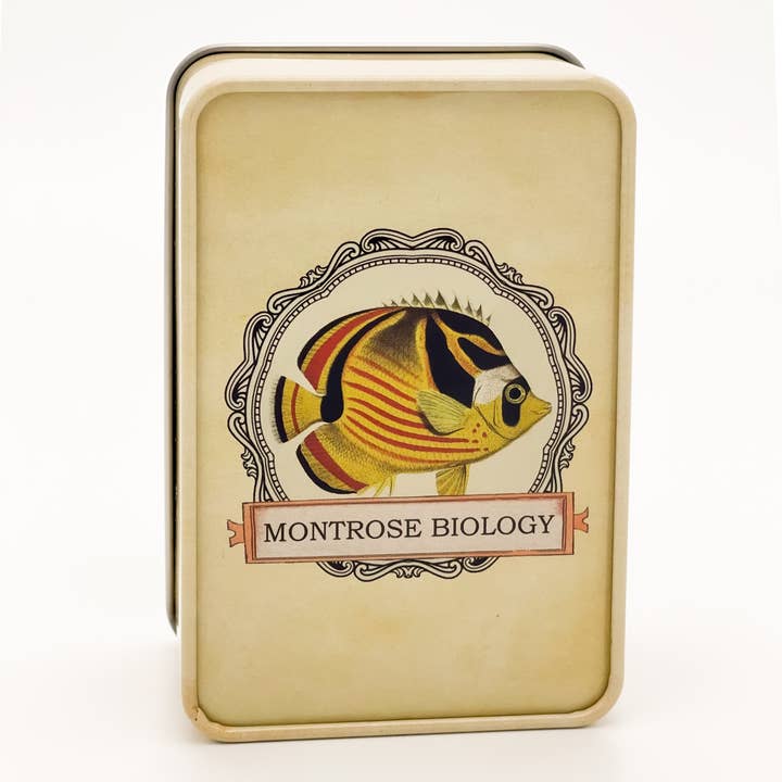 Montrose Biology - Wholesale Card Game - Ecologies Card Game Metal Tin - Archerfish Image