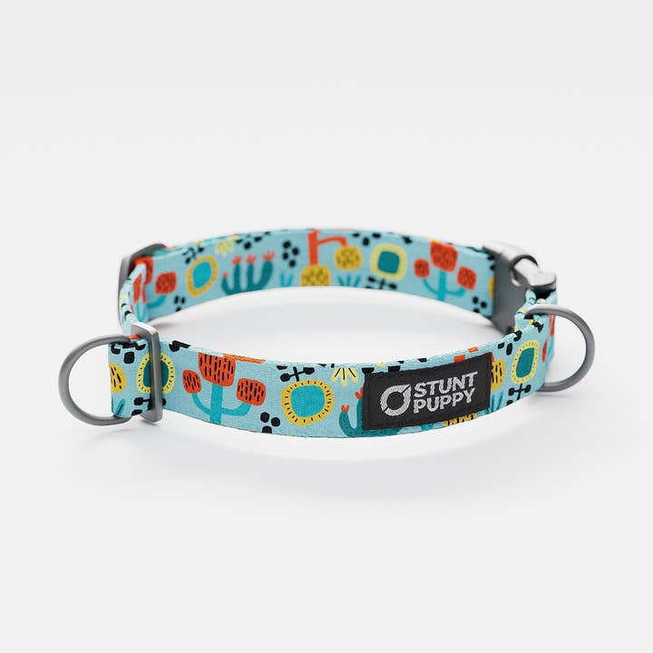 Desert Sunrise Everyday Collar for wholesale by Stunt Puppy