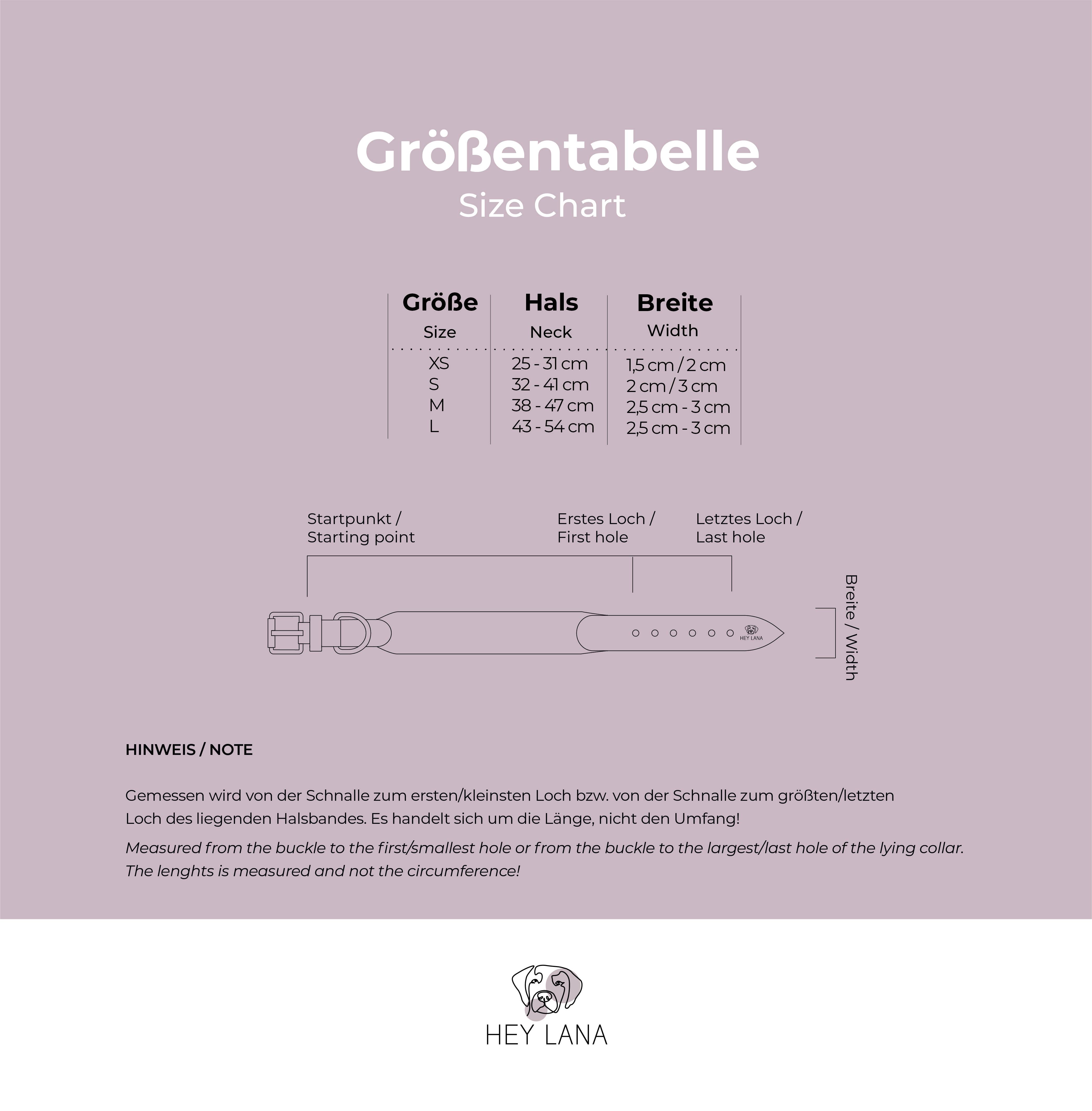 Hey Lana - Wholesale Pet Collar - Dog - Premium padded dog collar11