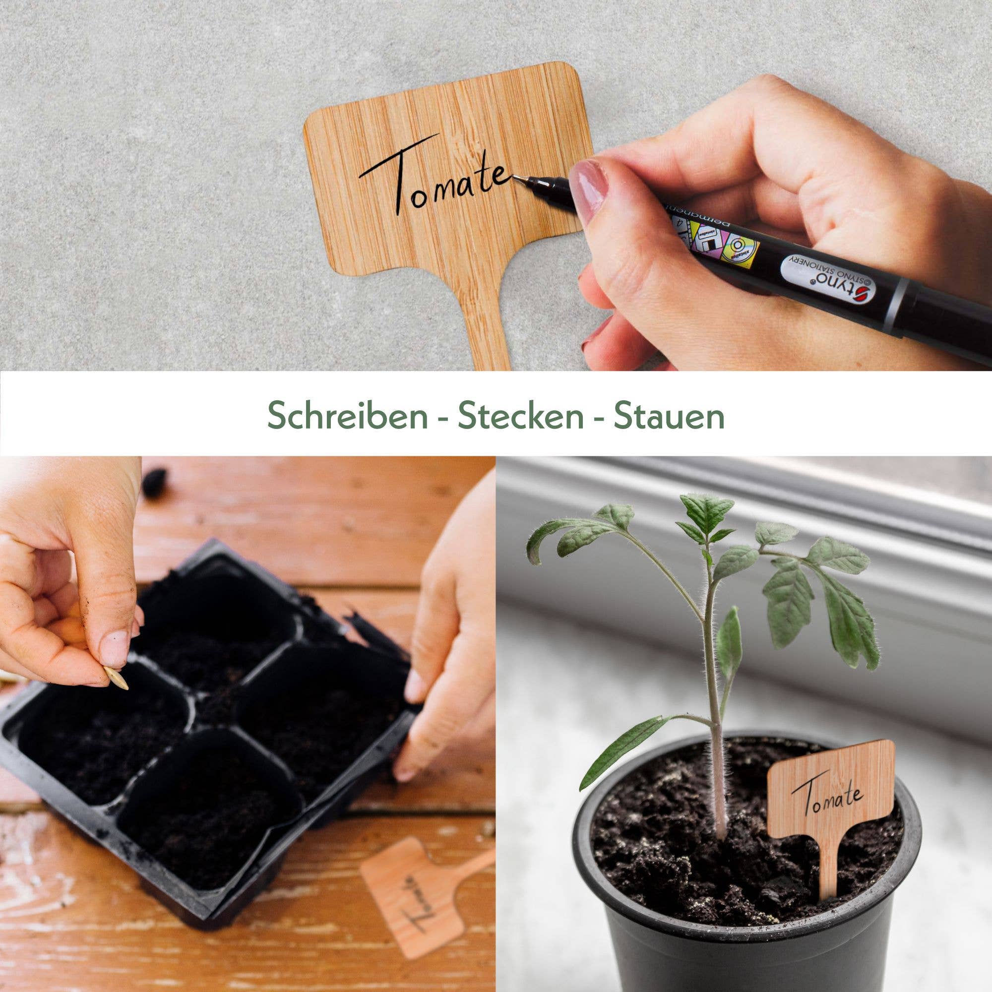 Vendix GmbH - Wholesale Garden Tool - 30x bamboo plant plugs for labelling with marker1