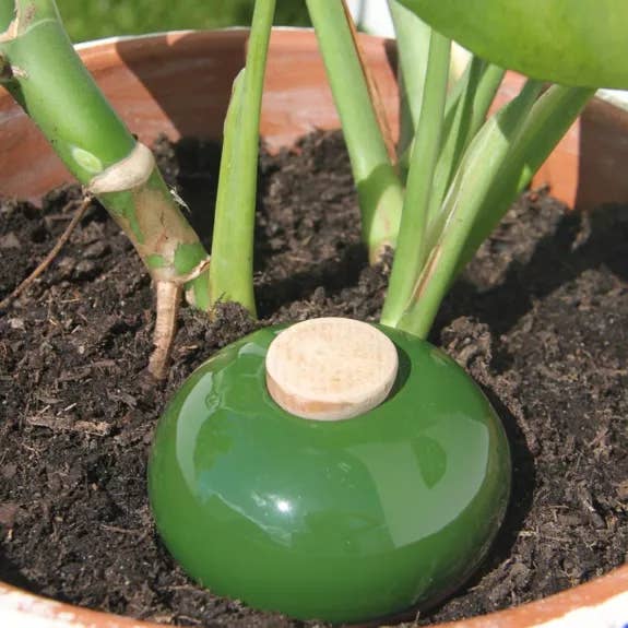 Poterie lutton - Wholesale Watering Can - Ollas Galet 15 cl – Autonomous and stylish watering11