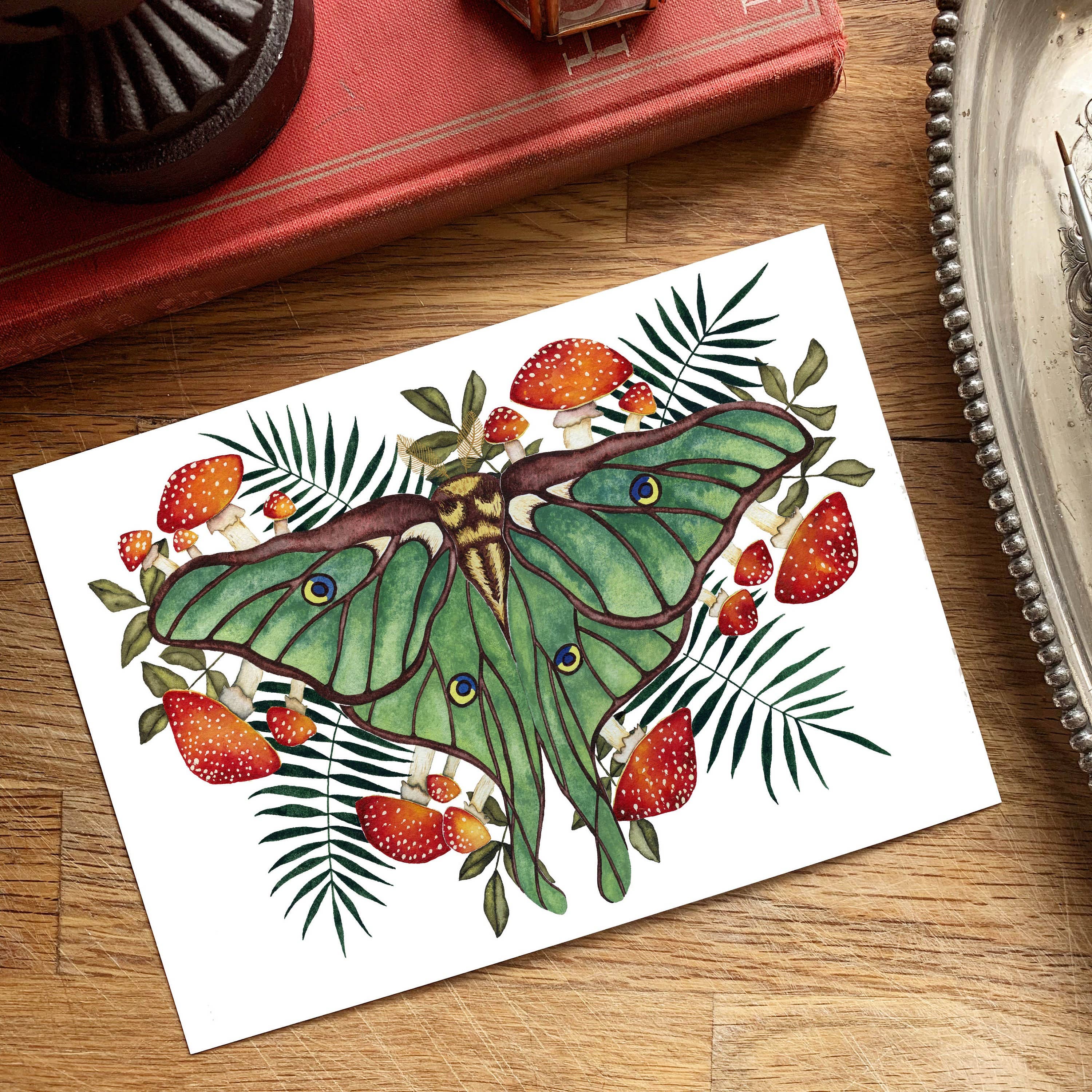 Candace Fincher – Großhandel Kunstdruck – Amanita Muscaria Magic Mushroom Kunstdruck//Luna Moth3