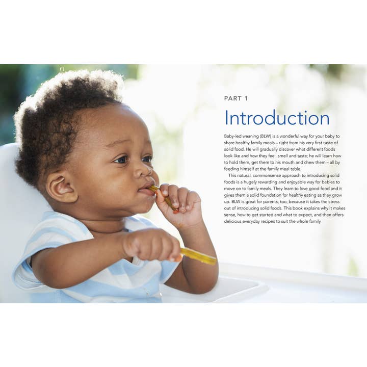 W. W. Norton - Wholesale Book - Adult - The Baby-Led Weaning Cookbook, Volume Two2
