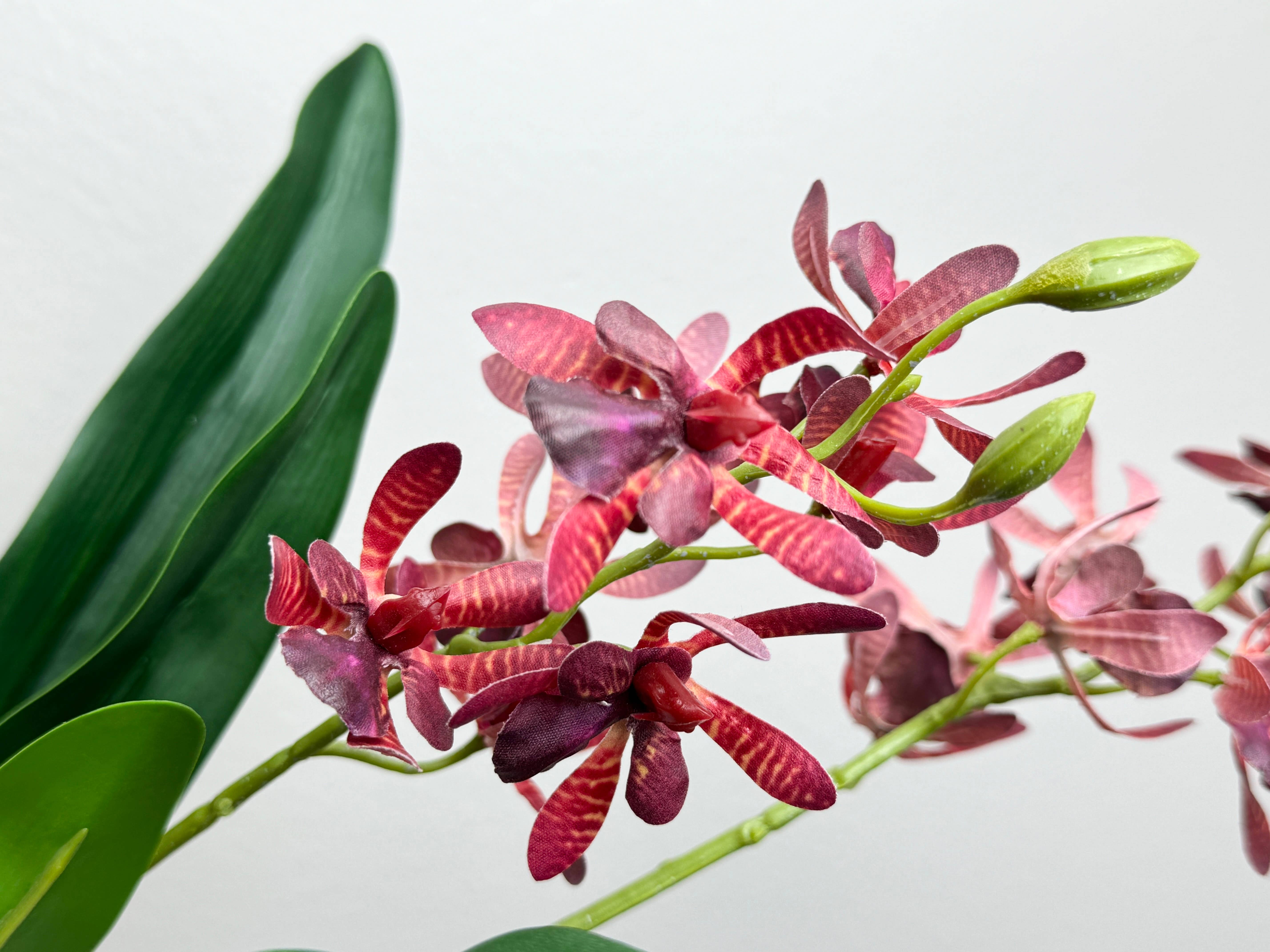 Angel Isabella – Großhandel Künstliche Blumen – 17" Künstliche Arachnis-Orchidee mit echter Haptik und Blättern3