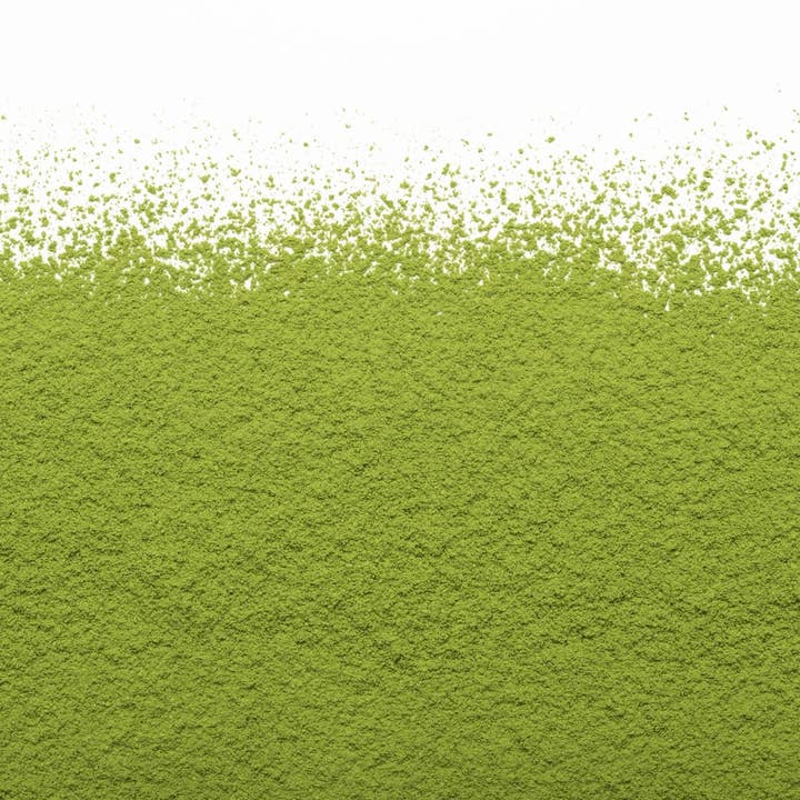 Matcha Camellia - Pure Japanese Matcha (500g) for wholesale by Camellia Sinensis