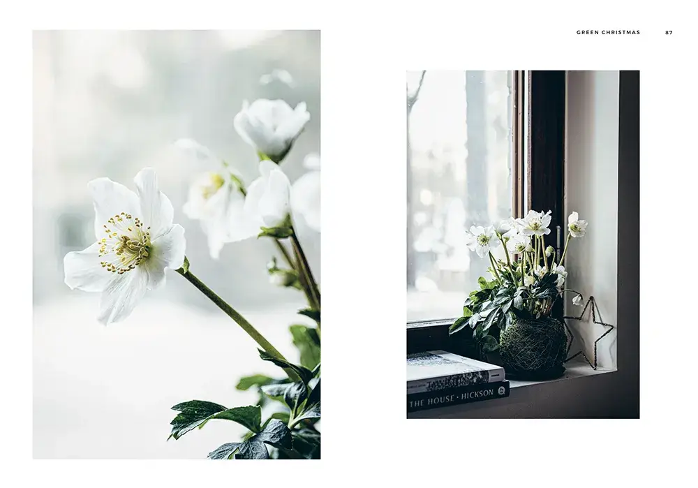 Cozy Publishing - Wholesale Crafts, Hobbies & DIY Book - Green Christmas2