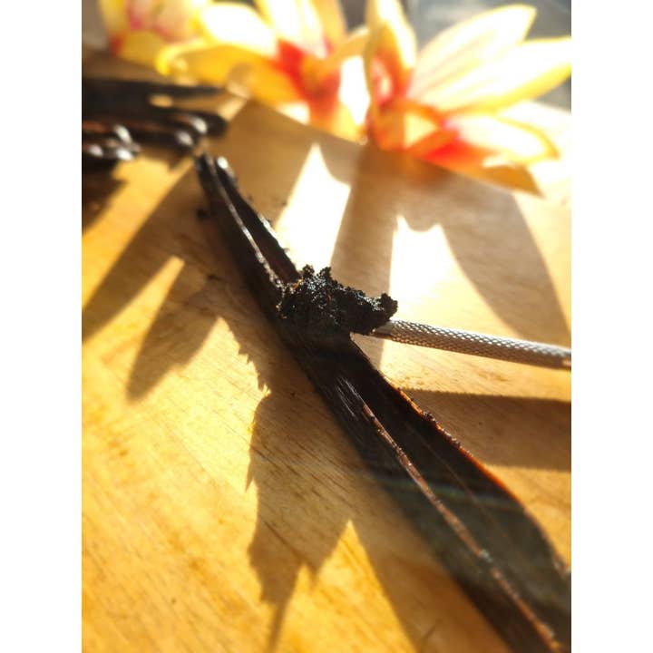 Taste of Paradise – wholesale Vanilla/fruit extract – South Sea Tahiti Vanilla Pods - Vanilla Tahitensis (10-12cm) - Top Gourmet Quality (5-100 pieces)4