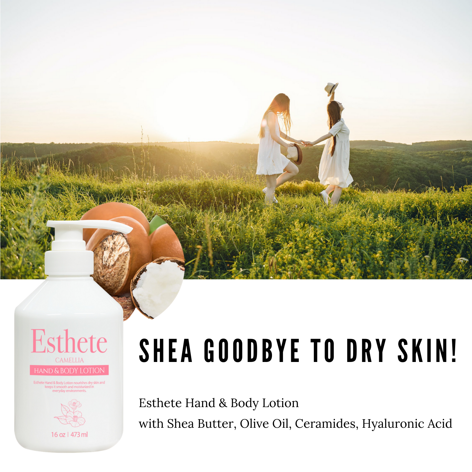 ESTHETE - Wholesale Hand & Body Lotion - Camellia Shea Butter Hand & Body Lotion (16 oz.)6