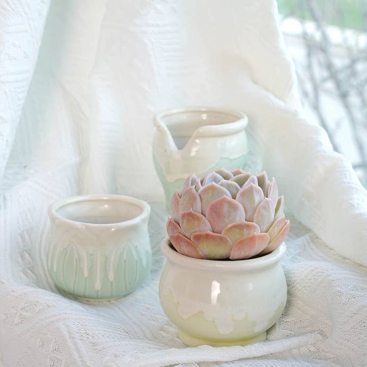 Springer Décor - Wholesale Plant pot - Small Cuties – Green Flower4