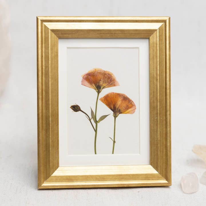 Pressed Flower Framed Mini Print - "Blush & Bloom" for wholesale by Hope Steinle Pressed Flower Art