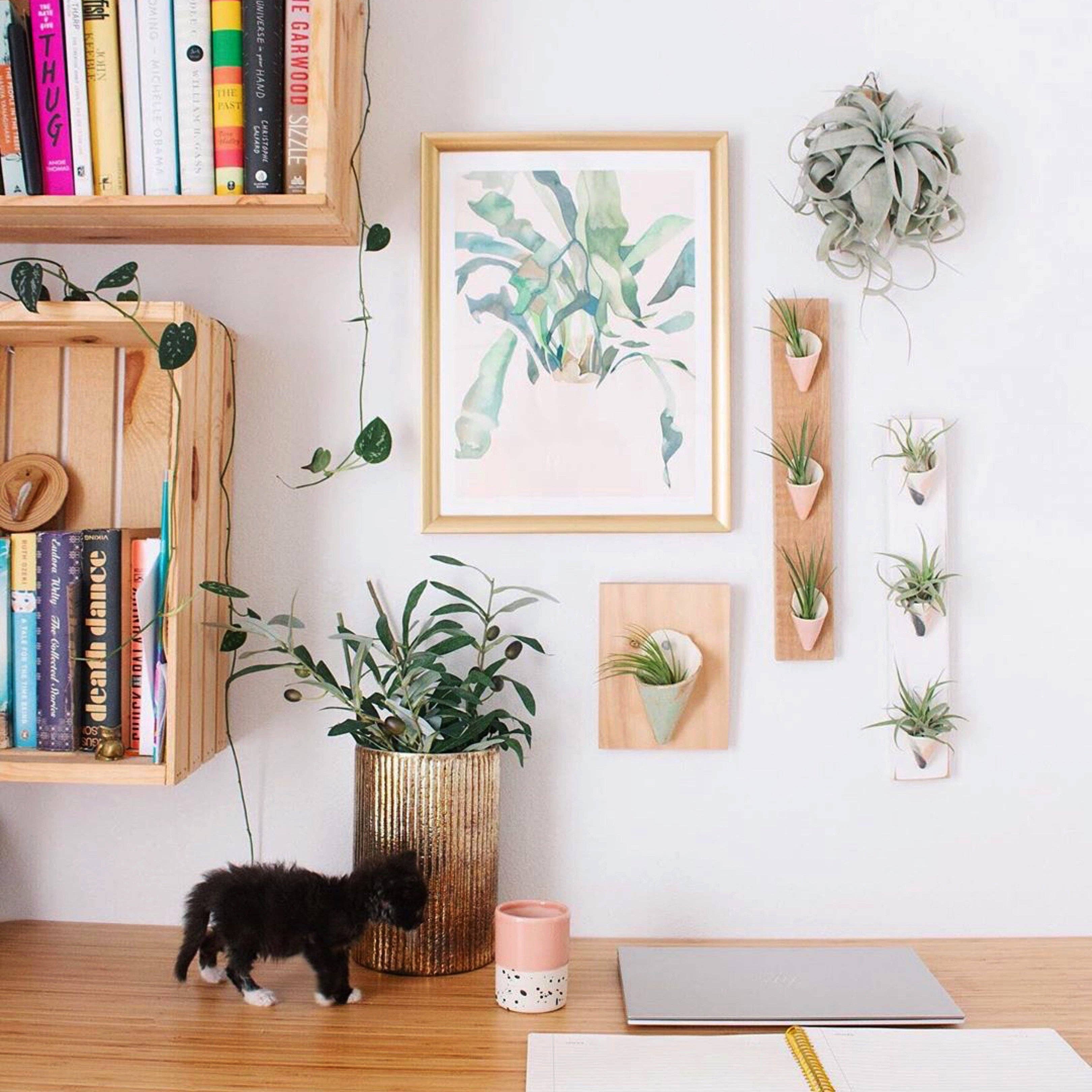 Renee Staeck - Wholesale Art Print - STAGHORN 2 Vibrant Giclée Art Print by Renée Staeck1