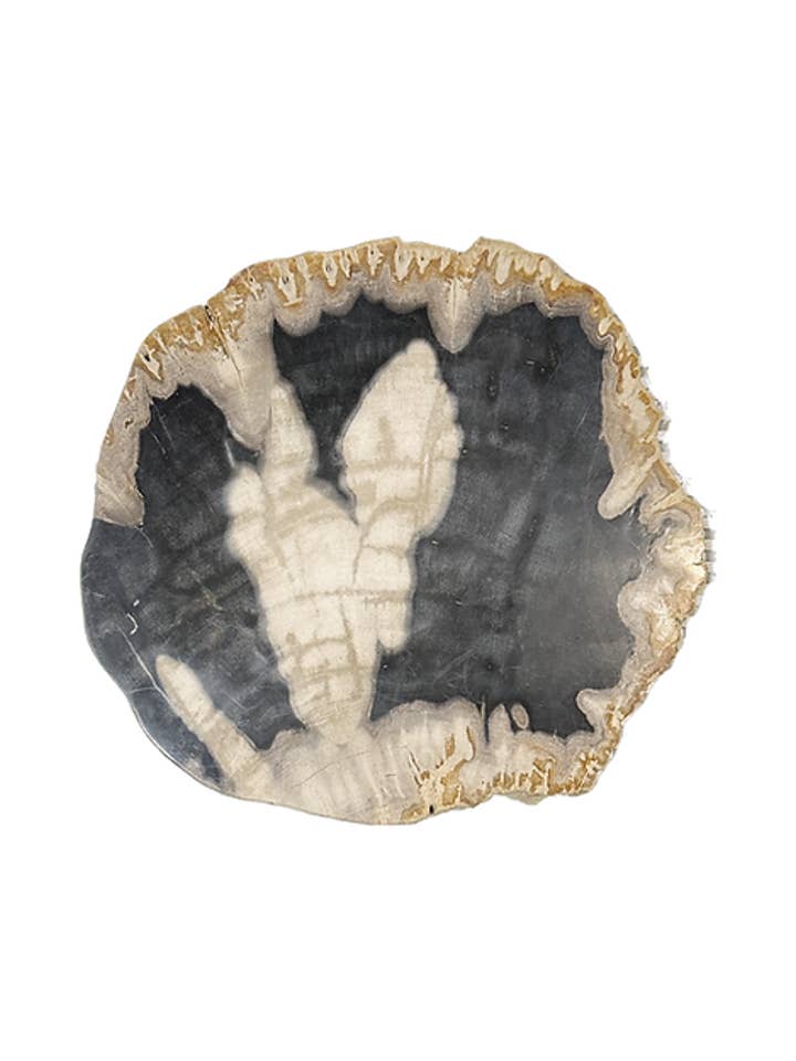 Petrified Wood Round Cheese Board 30cm for wholesale by Cantiq Living