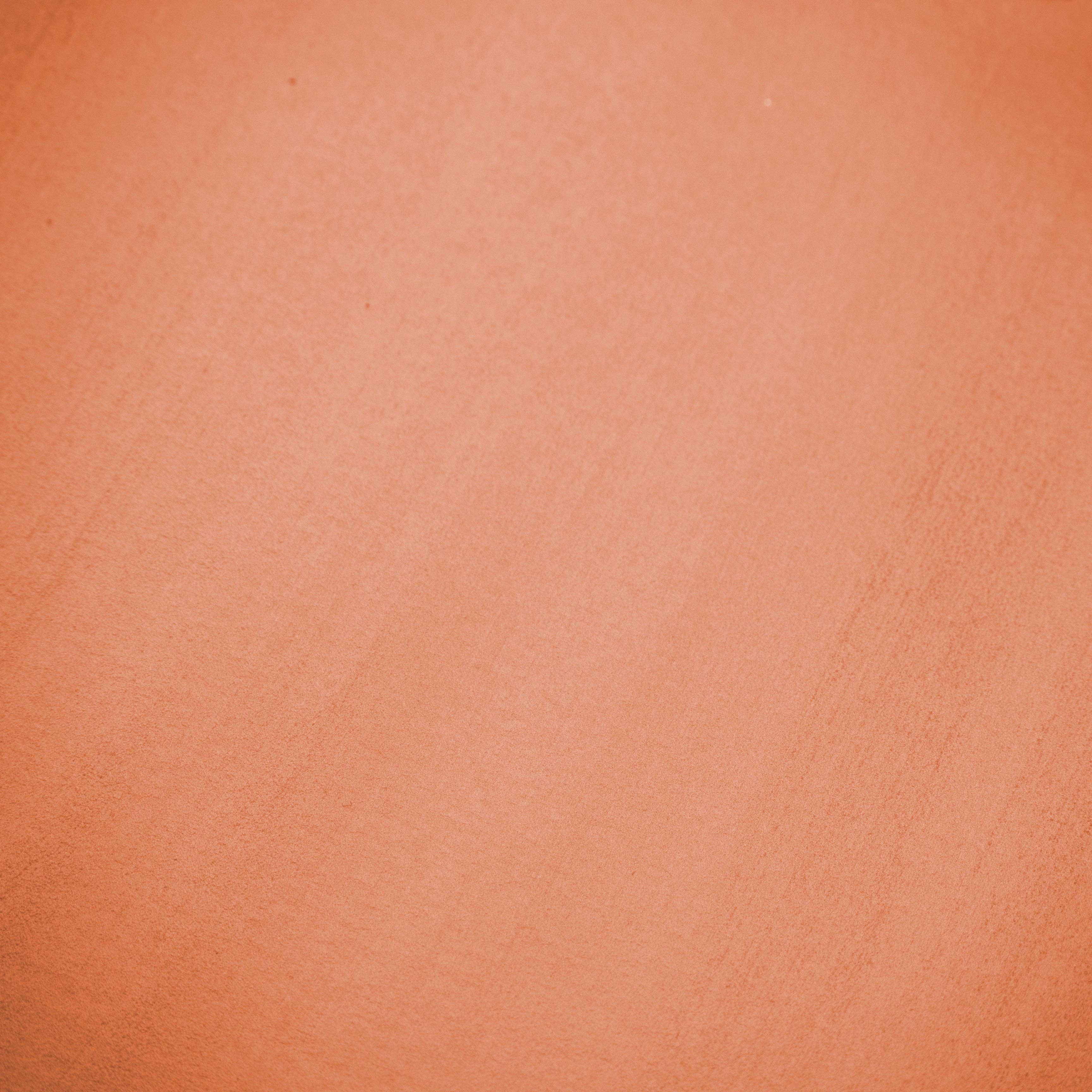 Ecstasy Crafts Distributing – wholesale Craft supplies – Cosmic Shimmer Metallic Gilding Polish72