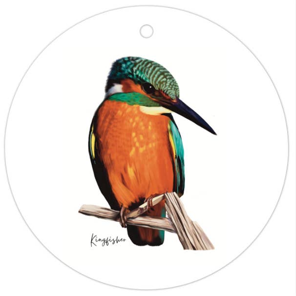 AGCTA1016: Laranja: Etiqueta Presente Pescador Pássaro por atacado de Taylor Hill Scarves & Co