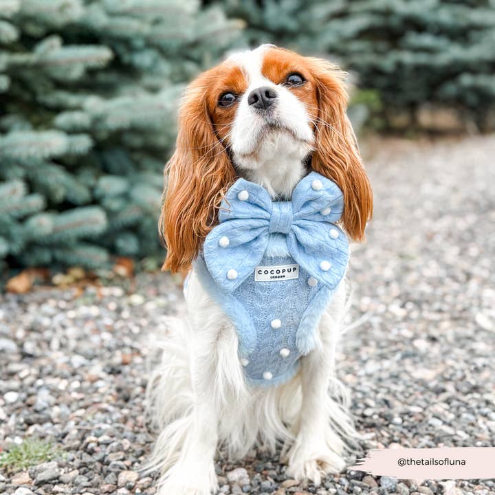 Cocopup London - Wholesale Pet bow tie – Dog - Snowpaws Sailor Bow Tie5