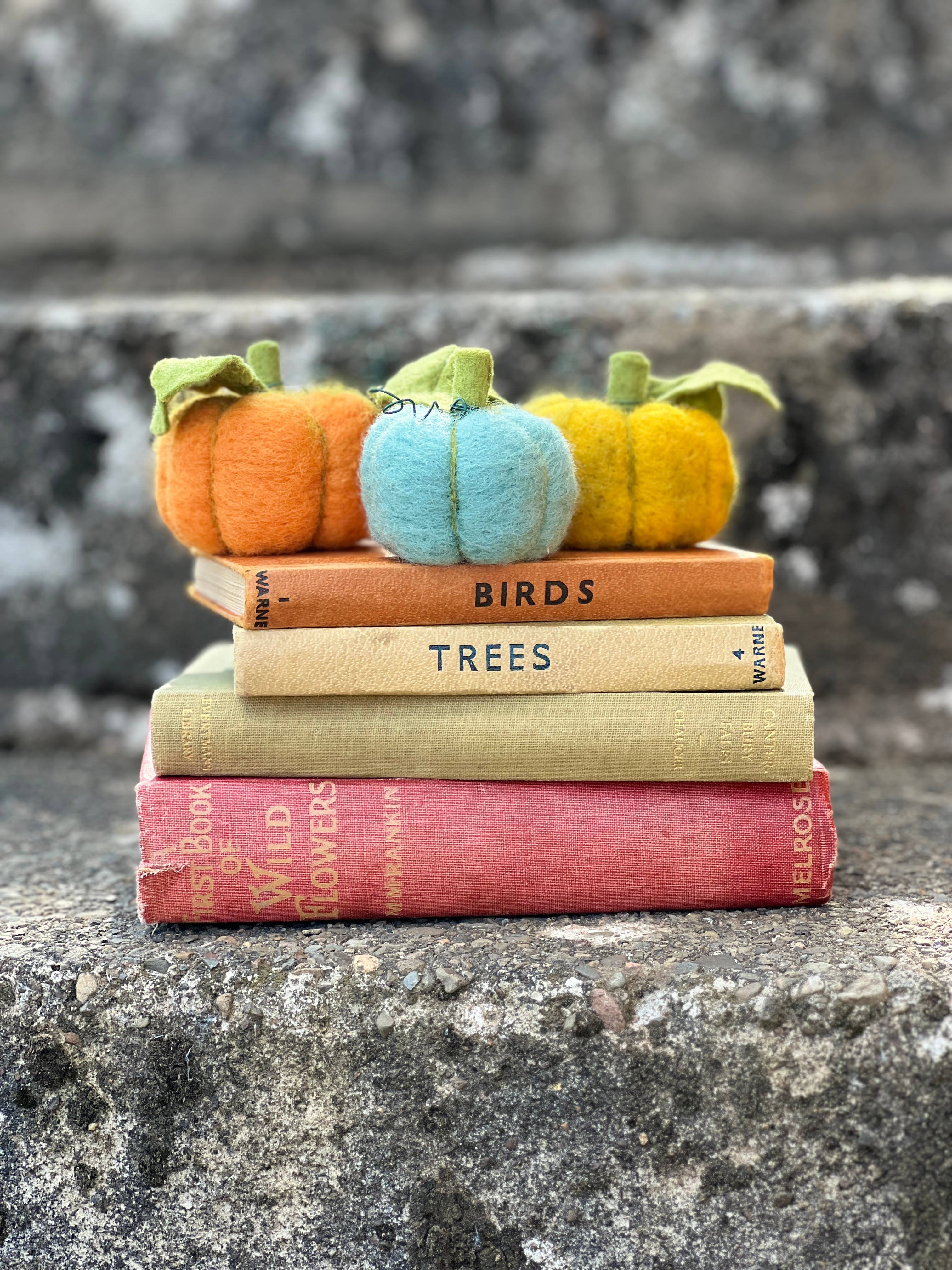 The Crafty Kit Company - Wholesale Craft Sewing Kit - Woolly Pumpkins Needle Felting Craft Kit7